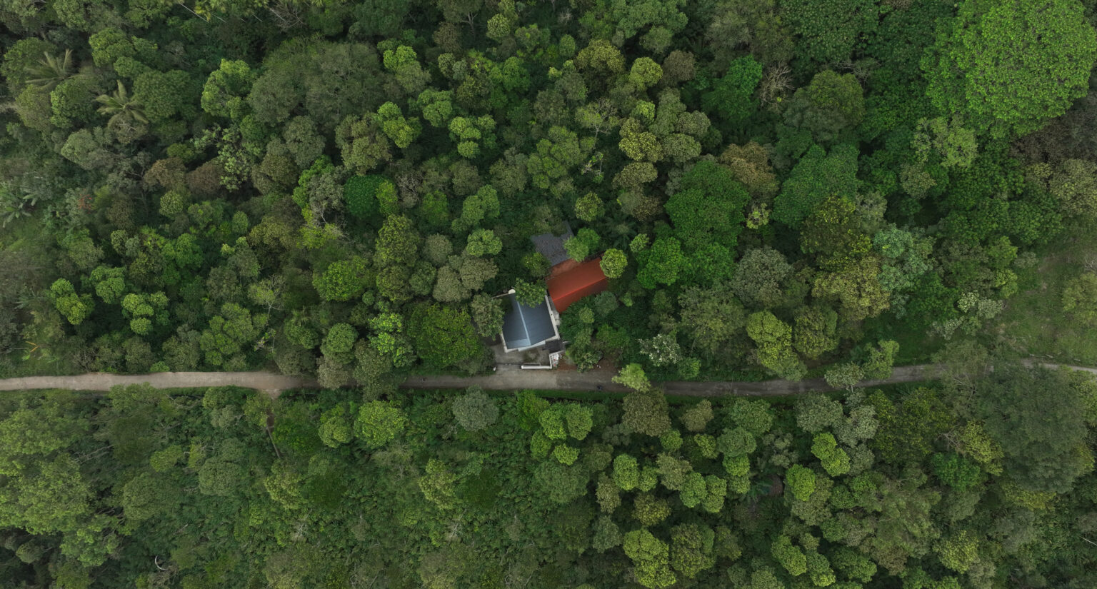 Aerial view of the retreat among the trees
