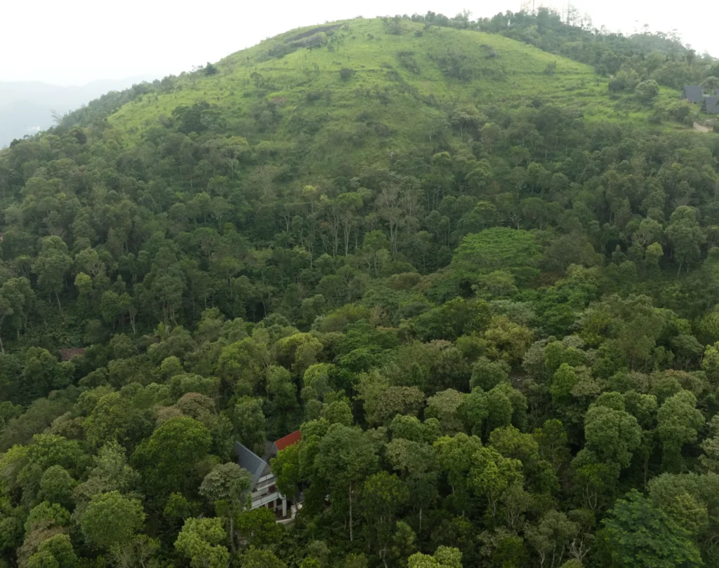 Aerial view of Tapovana Hillside Retreat surrounded by forest