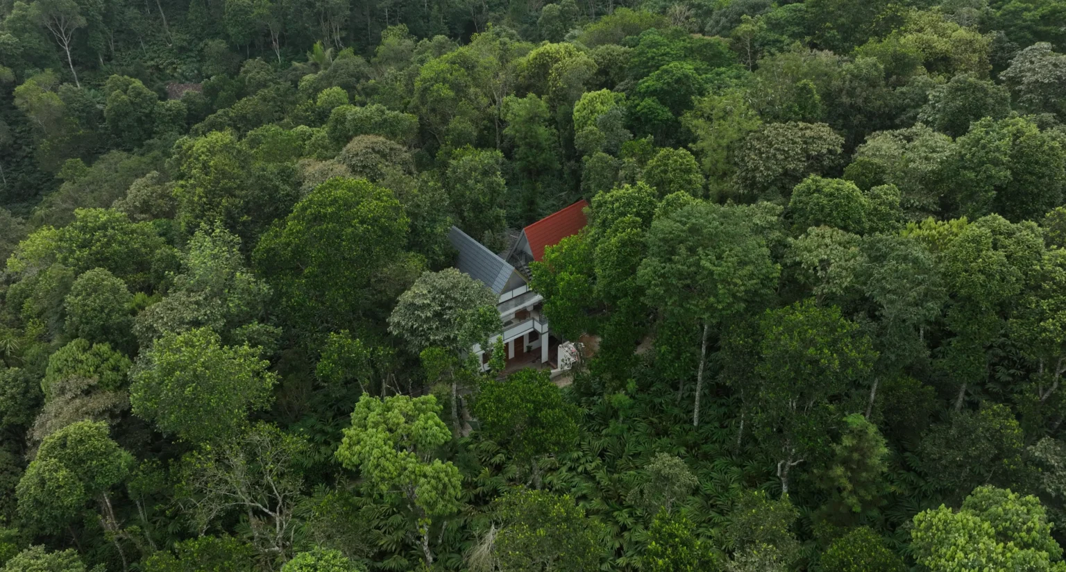 Tapovana cottage nestled in the hills